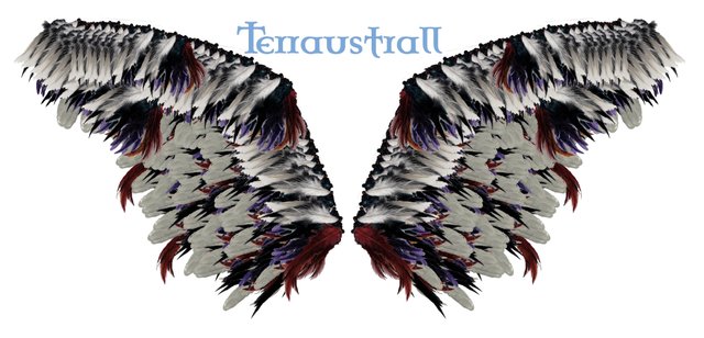 Terraustrall.jpg