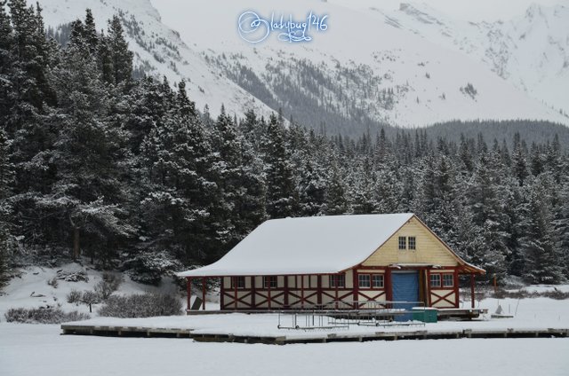 maligne lake2.jpg