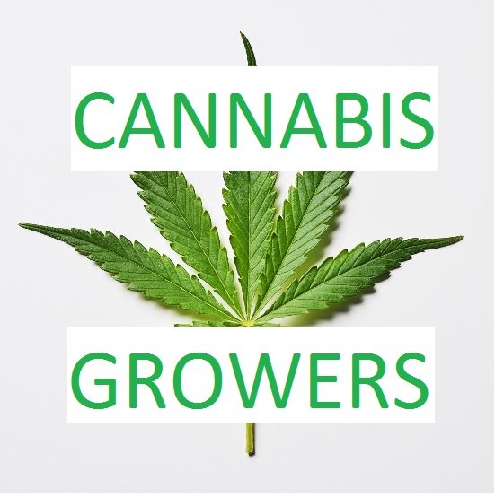 cannabisgrowers.jpg