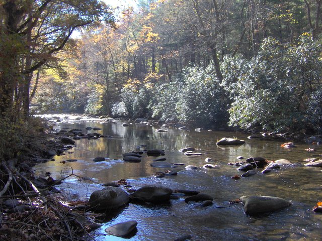 Hazel-creek-proctor-nc1.jpg