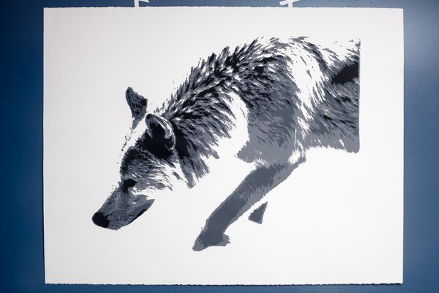 Wolf INS Print.jpg