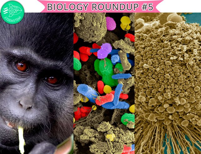 BIOLOGY ROUND UP 5.jpg