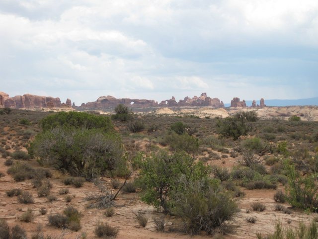 IMG_0211.JPG