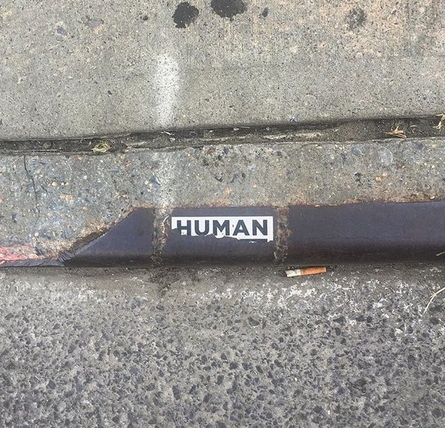 Human.PNG