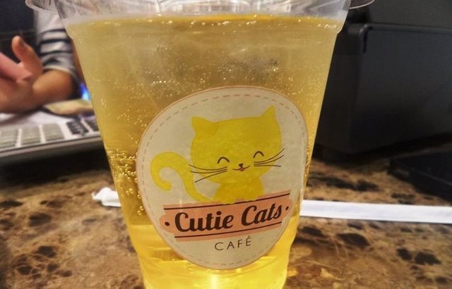cafek2.jpg