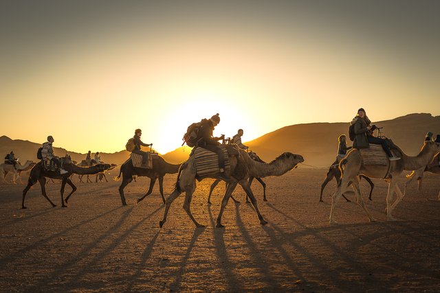 desert 71 sunrise camelos 7-2.jpg