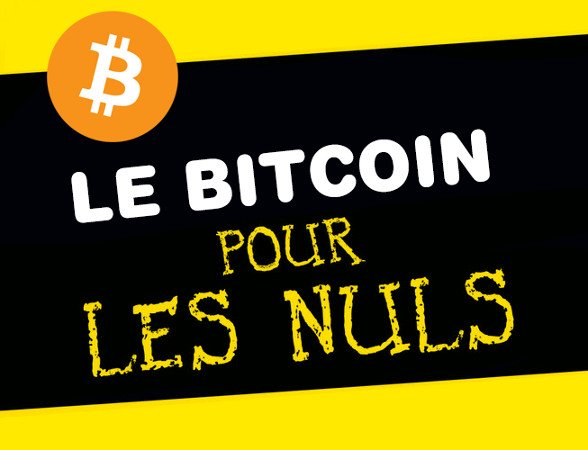 le-bitcoin-pour-les-nuls.jpg