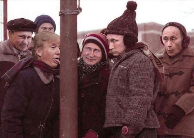 trump licks pole.jpg