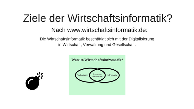 3 Wirtschaftsinformatik.png