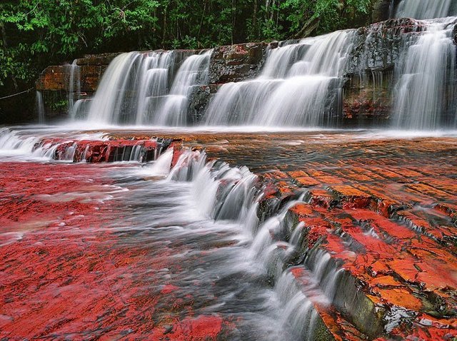 gran sabana 7.jpg