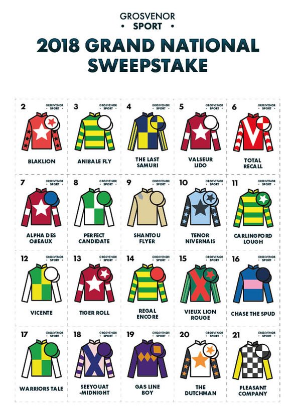 Grand-National-sweepstake-2018-1305452.jpg