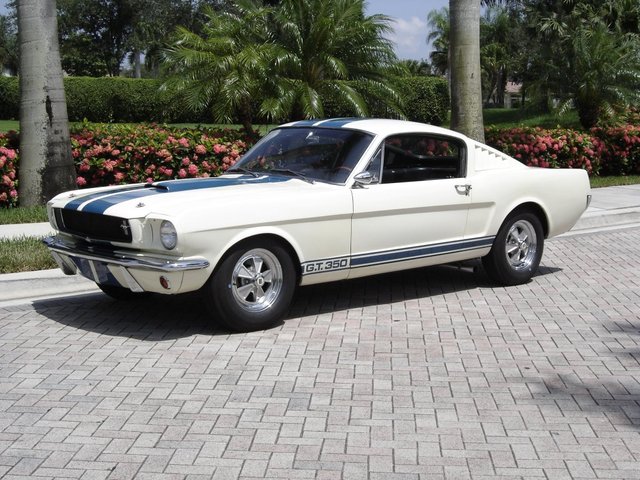 1965_ford_mustang_shelby_gt350-pic-30423.jpeg