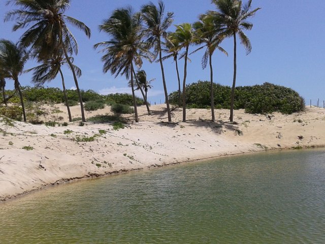 Cano Quebrada 4.jpg