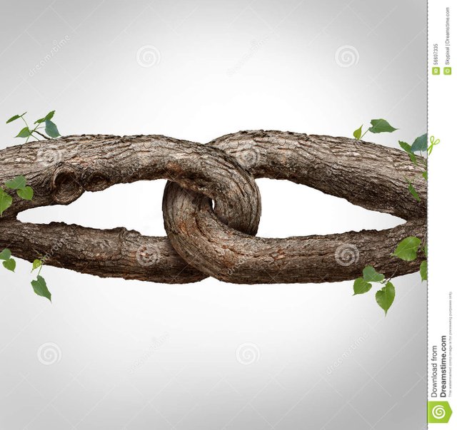 strong-chain-concept-connected-as-two-different-tree-trunks-tied-linked-together-as-unbreakable-as-trust-faith-56607335.jpg