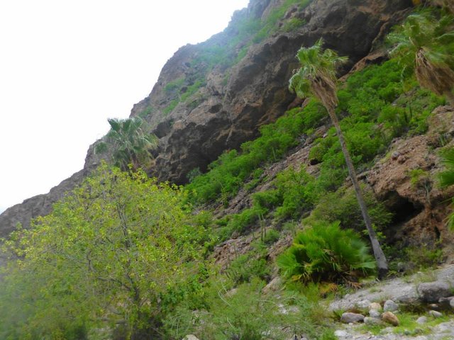 Cañon nacapule 8.jpg