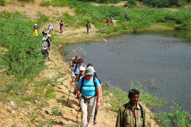 trekking-rajashthan-rajashthan-trekking-55a498c79411b2386fcf01a7-rajasthan-trekking__800x533.jpg