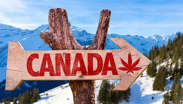 Canada-Will-Be-The-Ultimate-Cannabis-Tourism-Destination.jpg