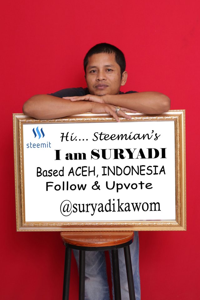 suryadi++.jpg