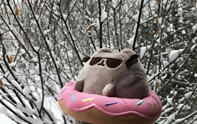 summer pusheen.jpg