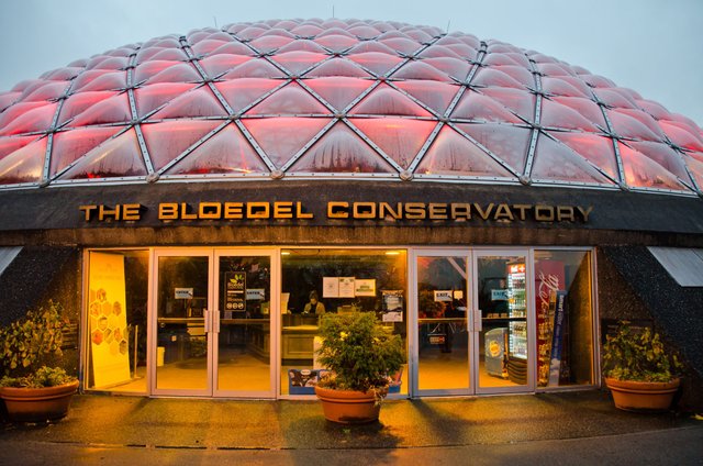 Bloedel_conservatory-1.jpg