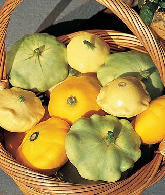 garden mixed pattypan squash.jpg