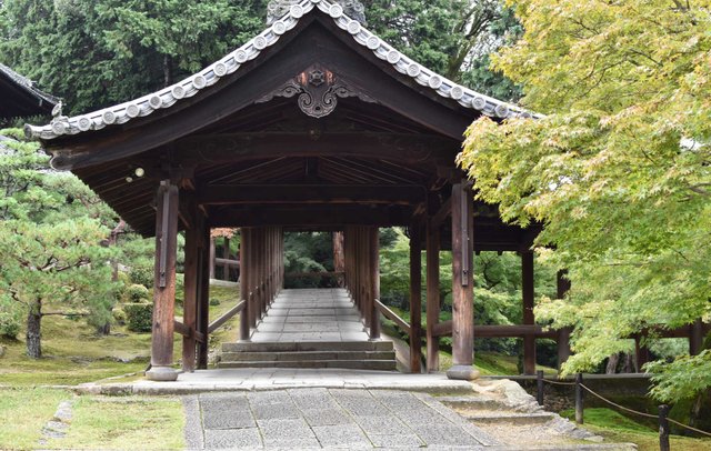 tofuku-ji-3.jpg