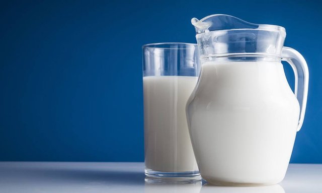 Main-15_milk_DimaSobko-Shutterstock.jpg