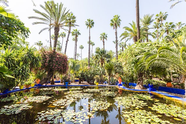 WBC-Maroc-Jardin-Majorelle-6.jpg