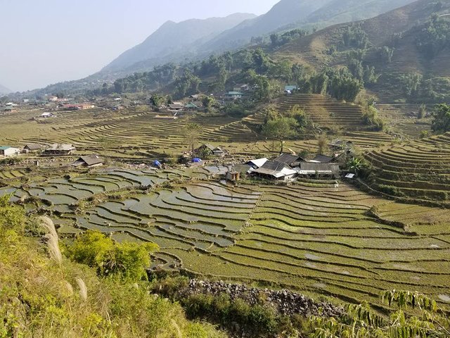 sapa.jpg