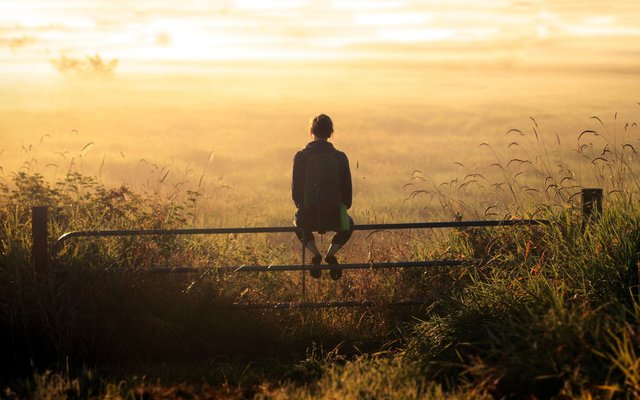 girl-backpack-thinking-sunset-field-fence-moment-field-reeds-hd-fullscreen.jpg