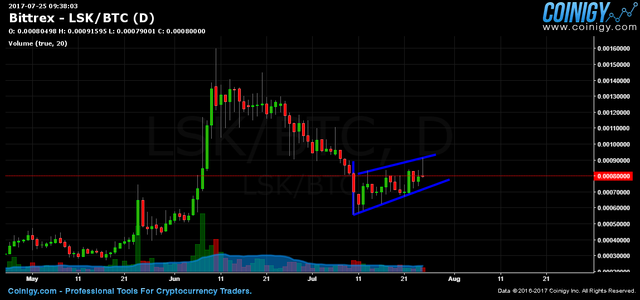 lsk bear flag.png