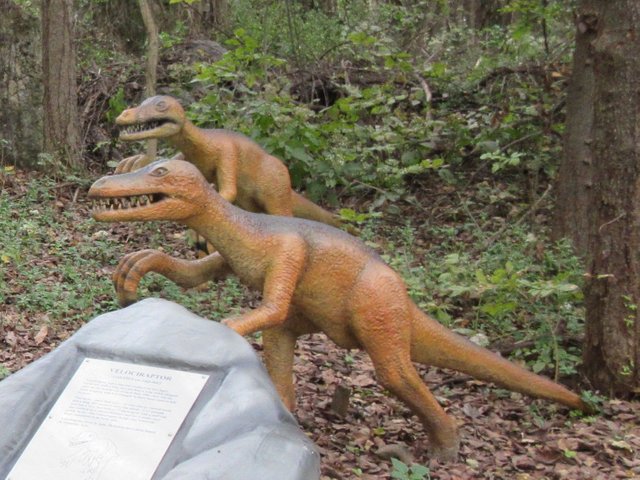 Velociraptors 1.jpg