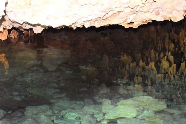 DSC_0462.jpg