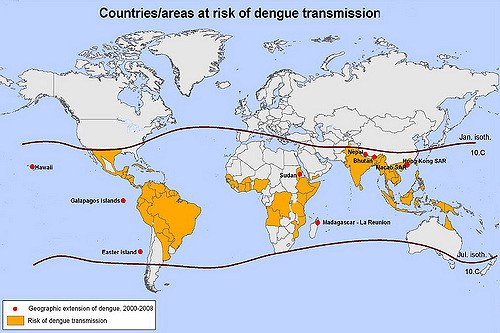 risk areas, dengue.jpg