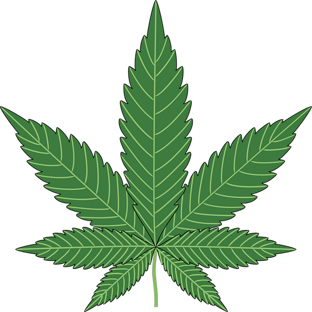 Marijuana-Pot-Plant-Baking-Leaf-Hemp-Cannabis-1293986.png