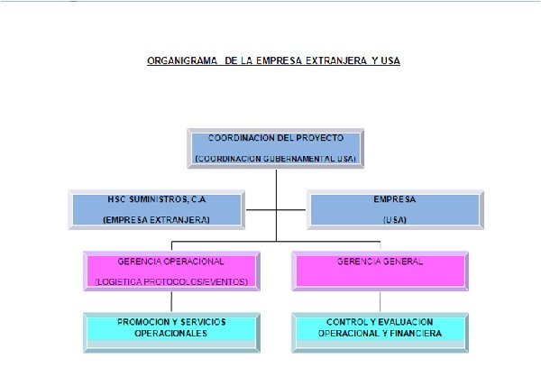 organigrama en español .jpg