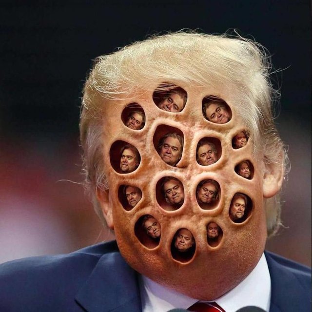 Trypophobia_or_something_idk_209f25_6202936.jpg