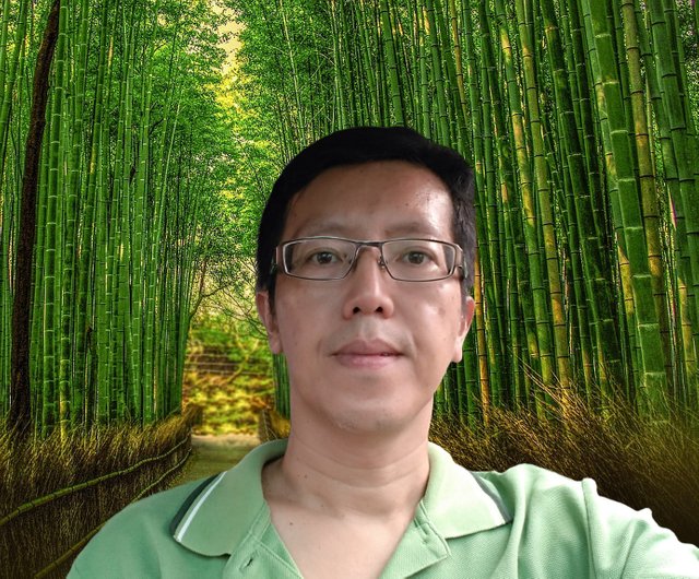 bamboo-3098343_YYH.jpg