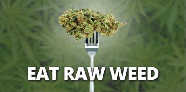 eat raw weed.JPG