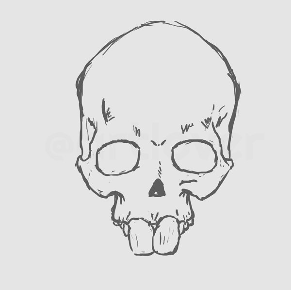 skull-front.jpg