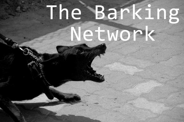 thebarkingnetwork1.png