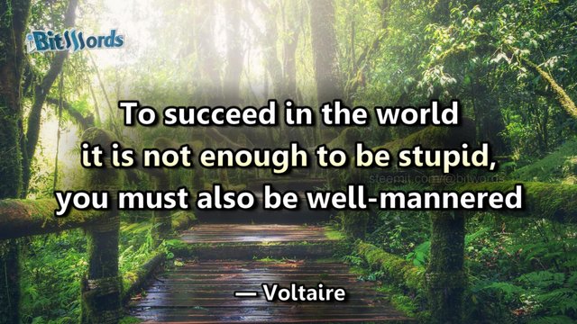 bitwords steemit daily motivation voltaire.jpg