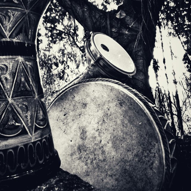 drums-tree.jpeg