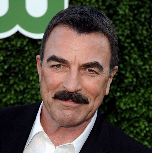 10 Model Mustache Men - kumis chevron.jpg