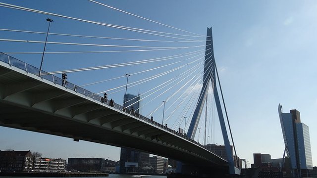 Erasmus Brug.jpg