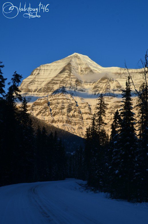 mount_robson_4.jpg