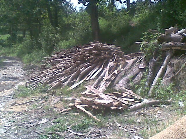 kayu-bakar.jpg