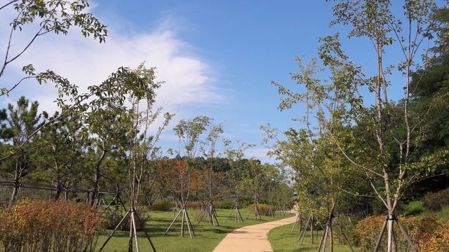 20170914_152806.jpg
