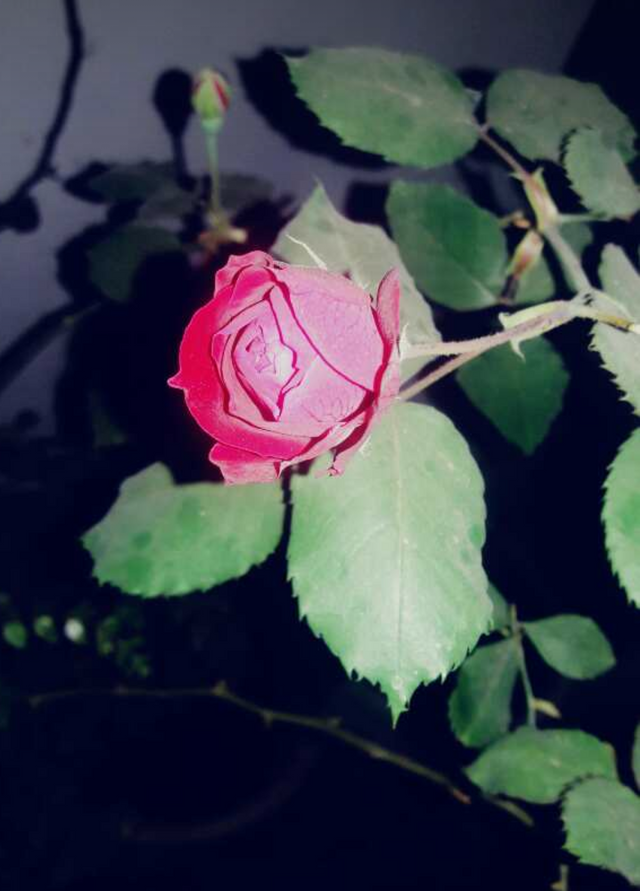 IMG_20180228_225507.png