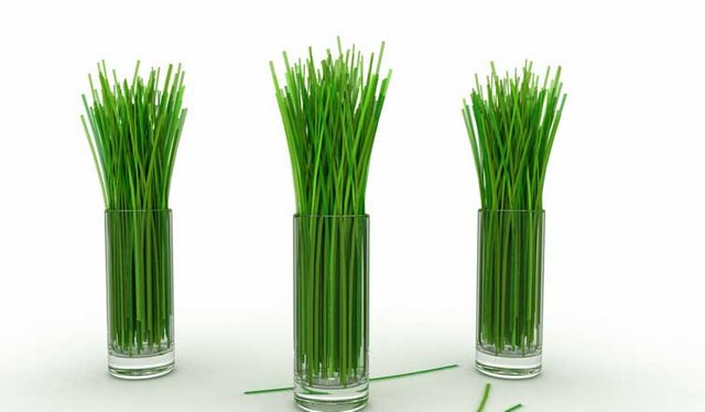 lemongrass-health-benefits.jpg